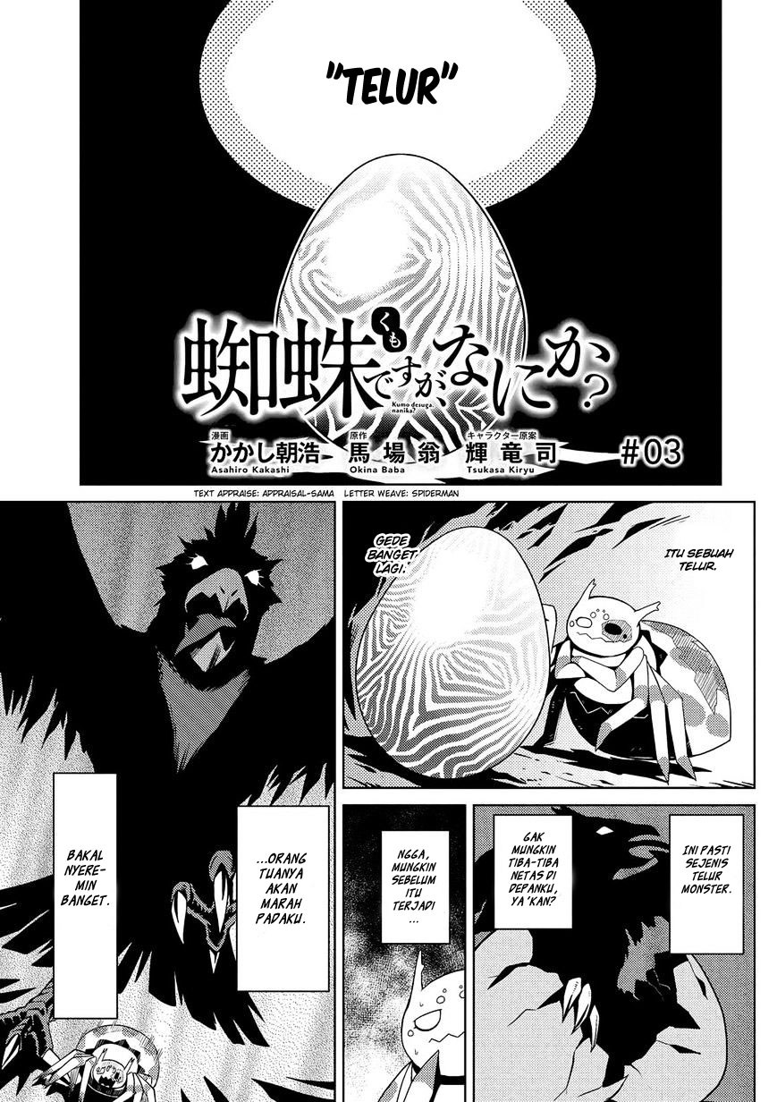 Kumo desu ga, Nani Ka?